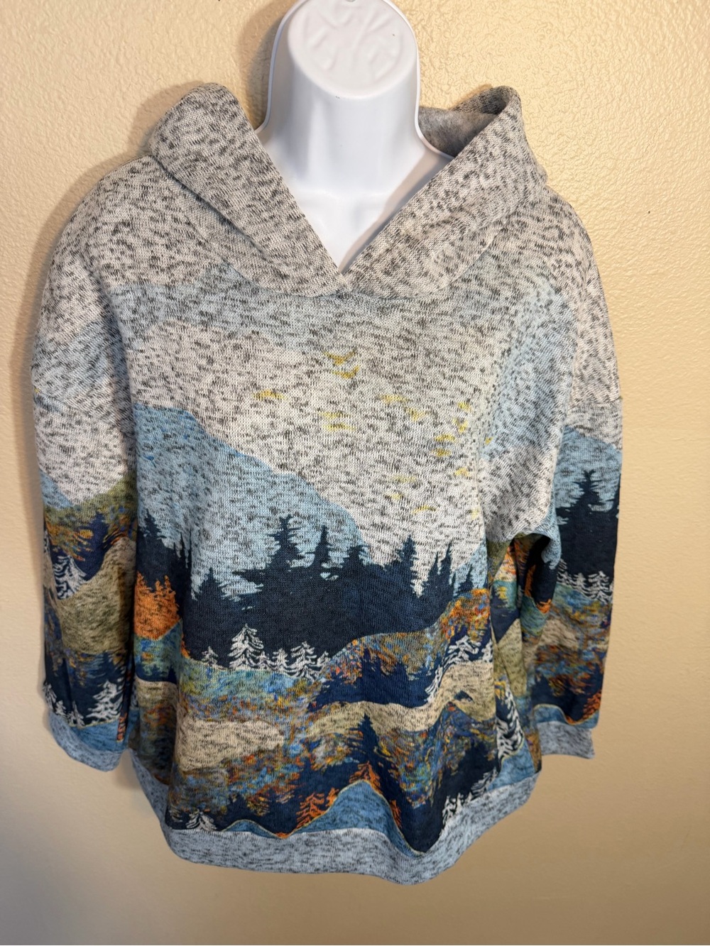 MISSLOOK Gray Multi Scenic Hooded Pullover Sweatshirt